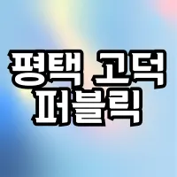퍼블릭 공주님들 모셔요